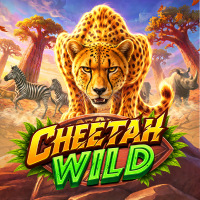 Cheetah Wild